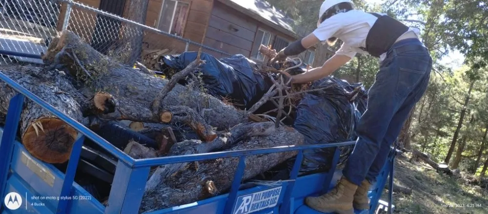Trusted landscaping services in Palm Desert., CA - Inland Landscaping Hardscaping Service