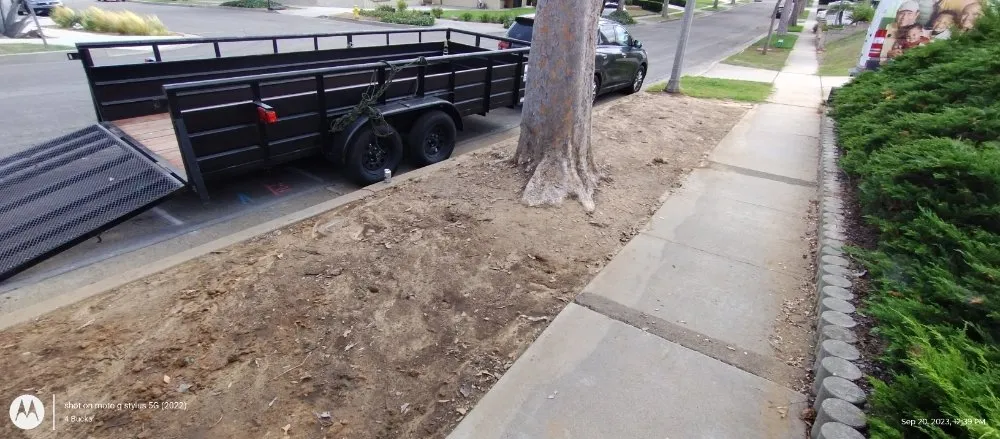 Professional yard cleanup service in Palm Desert., CA - Inland Landscaping Hardscaping Service