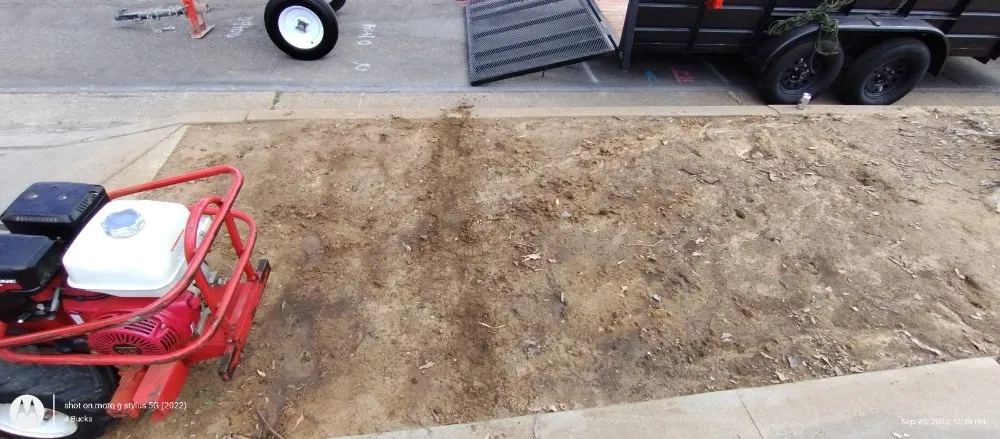 Professional residential landscaping in Palm Desert., CA by Inland Landscaping Hardscaping Service