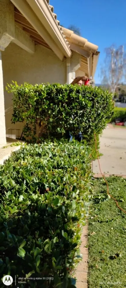 Top-rated garden landscaping experts serving Palm Desert., CA - Inland Landscaping Hardscaping Service