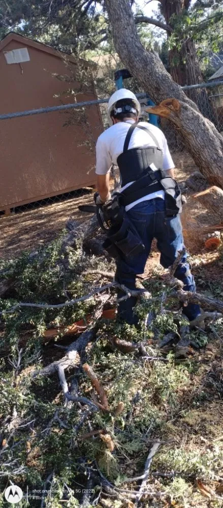Top-rated landscaping services in Palm Desert., CA - Inland Landscaping Hardscaping Service