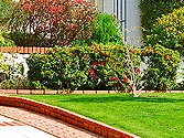 Local yard maintenance in Spokane, WA by Inland Lawn Maintenance
