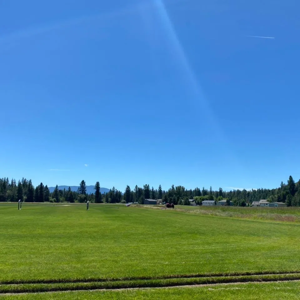 Top-rated lawn care service near you in Newman Lake, WA by Inland Sod