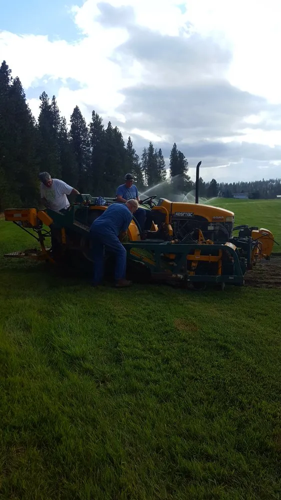 Professional residential landscaping experts serving Newman Lake, WA - Inland Sod