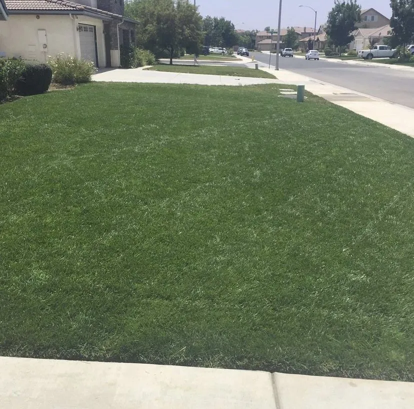 Top-rated yard cleanup service for residential properties in Grand Terrace, CA by Inland Turf Care