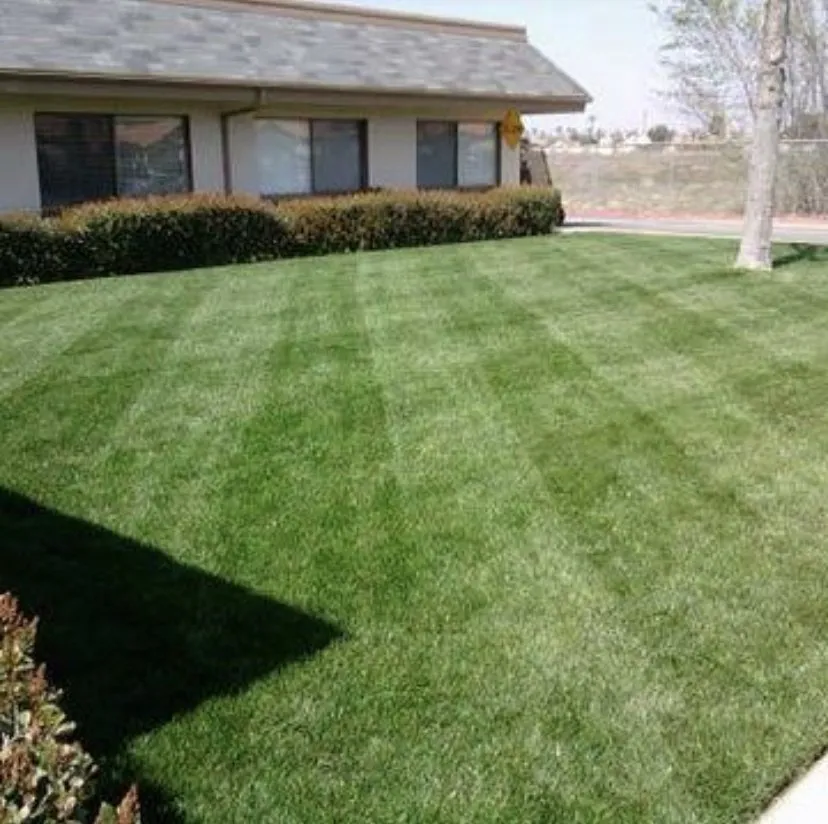 Top-rated lawn mowing service near you in Grand Terrace, CA by Inland Turf Care