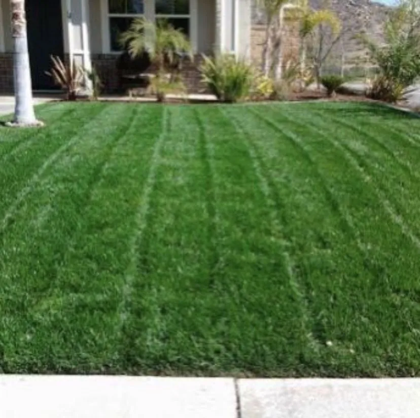 Expert lawn mowing service for homes in Grand Terrace, CA by Inland Turf Care