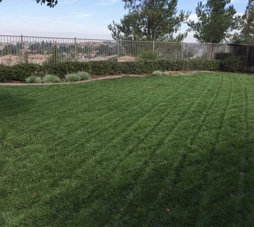 Affordable landscape installation near you in Grand Terrace, CA by Inland Turf Care