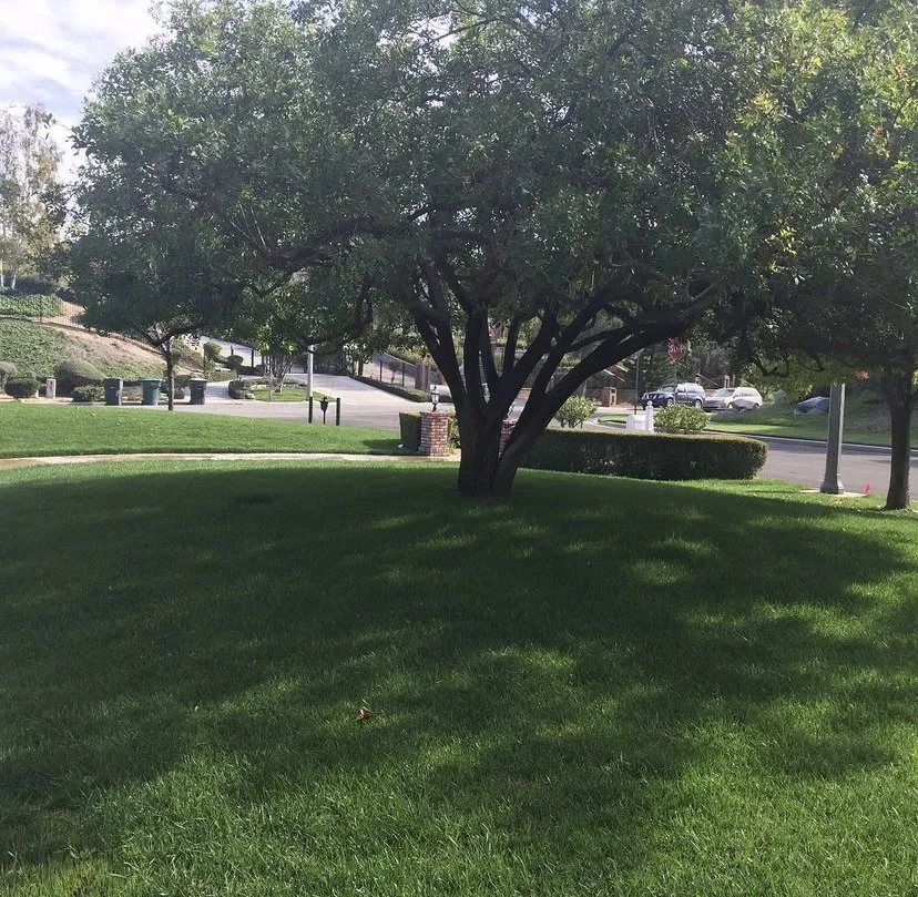 Reliable landscaping services in Grand Terrace, CA by Inland Turf Care