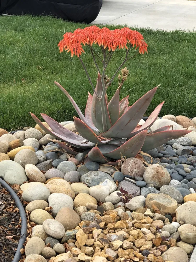 Custom garden landscaping in Wildomar, CA - Inland Valley Lawn Care