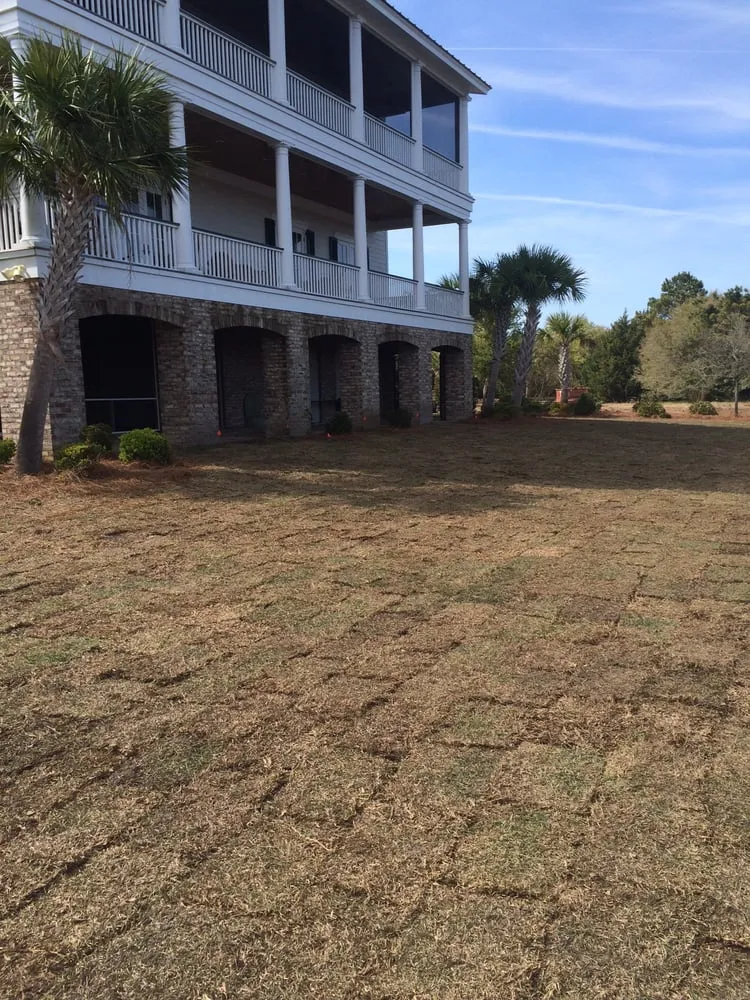 Local yard maintenance experts serving Murrells Inlet, SC - Inlet construction & Landscaping