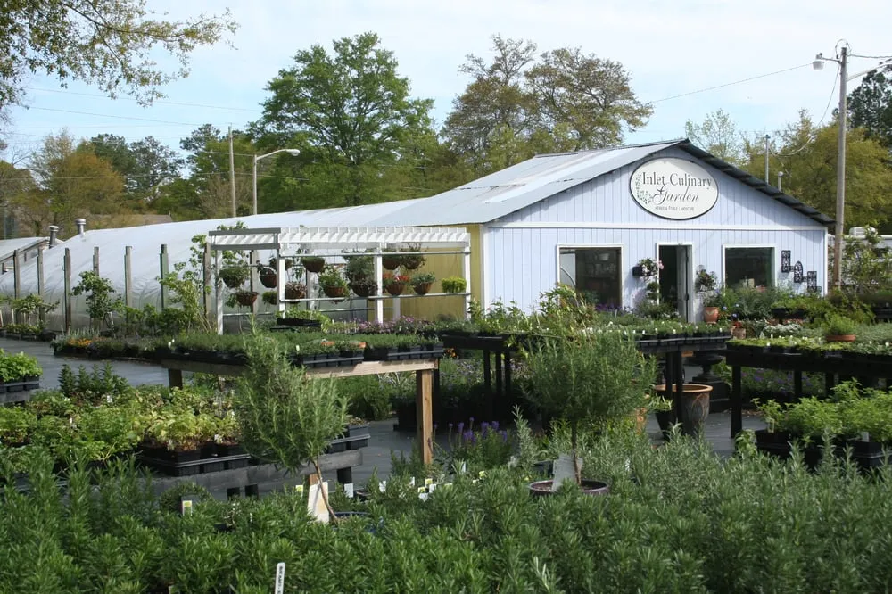 Affordable landscape design in Murrells Inlet, SC by Inlet Culinary Garden