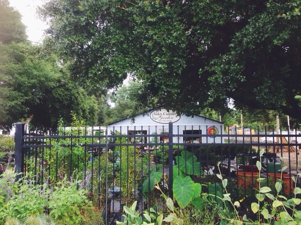 Expert yard cleanup service in Murrells Inlet, SC by Inlet Culinary Garden