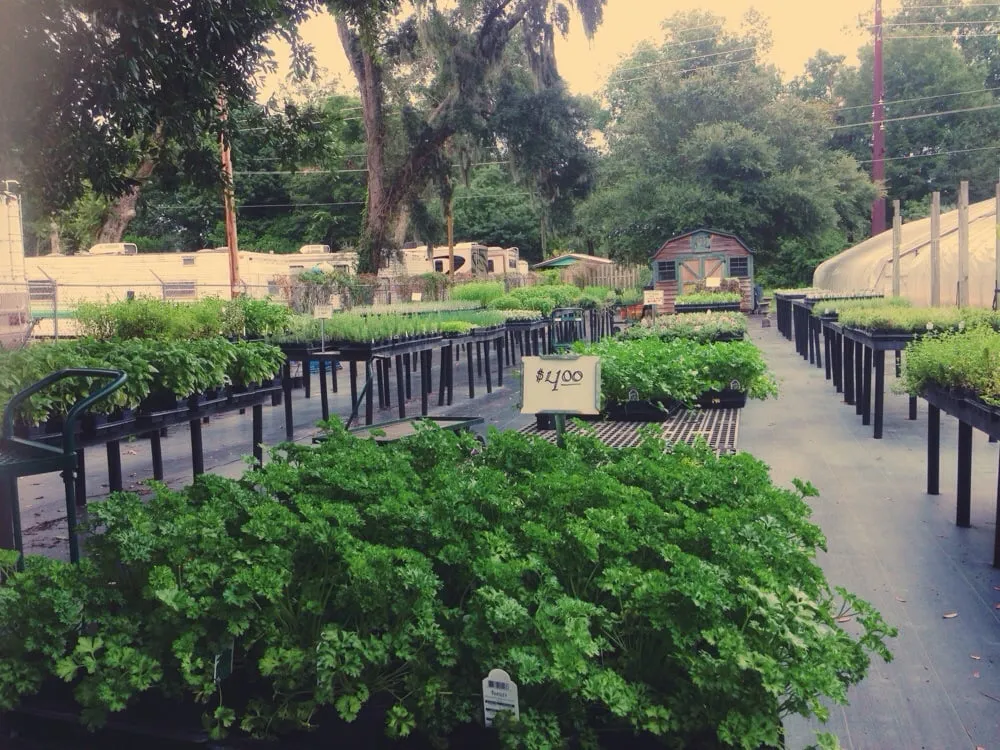 Reliable landscaping services in Murrells Inlet, SC - Inlet Culinary Garden