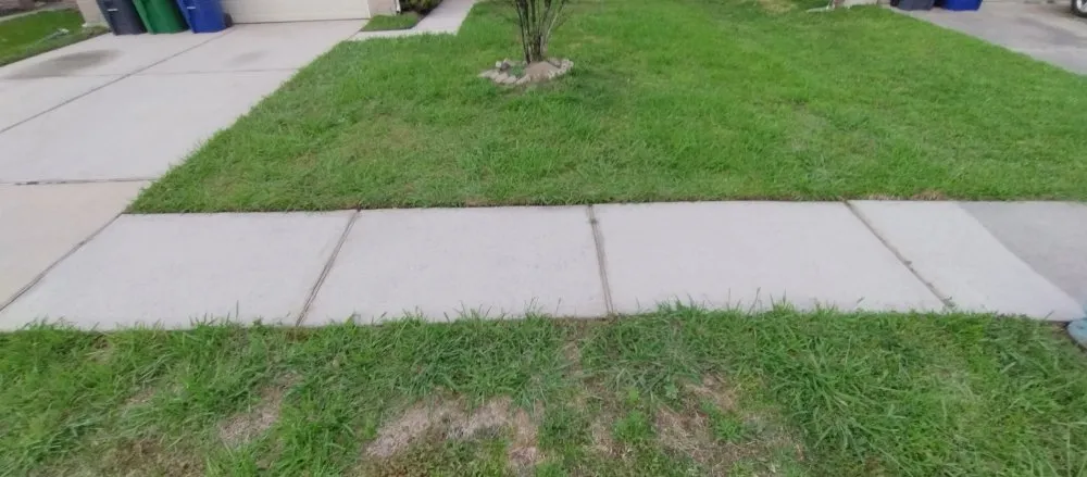 Local yard maintenance for beautiful yards in The Woodlands, TX by Inline Lawn and Home