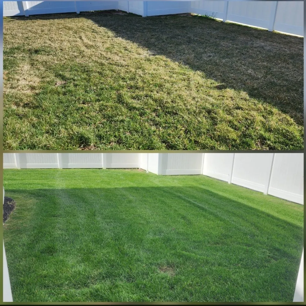 Professional lawn care service experts serving Spanish Fork, UT - Inna Breeze