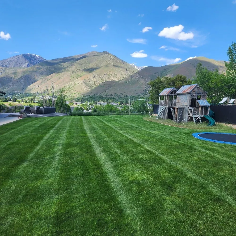 Reliable landscape installation for year-round maintenance in Spanish Fork, UT by Inna Breeze