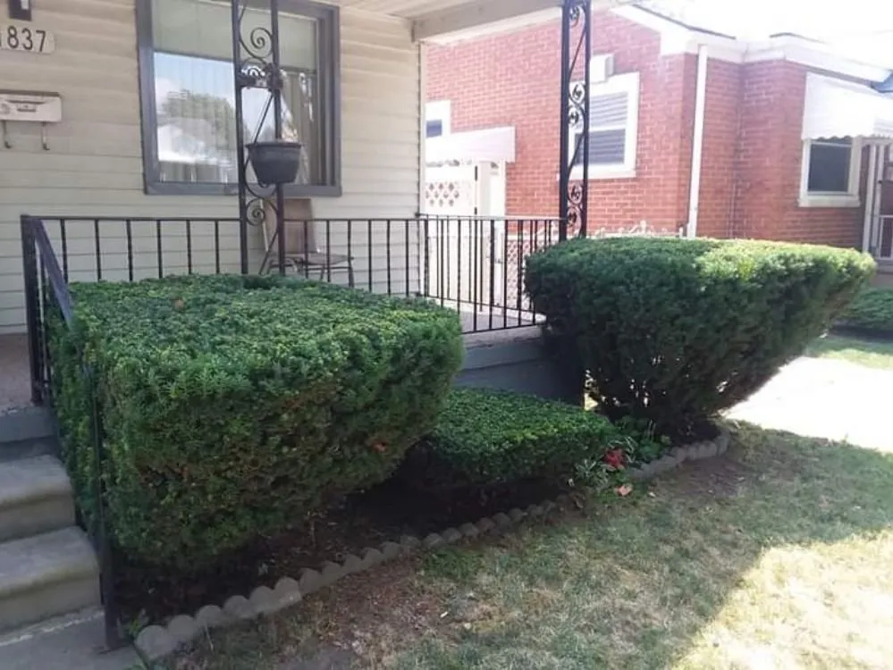 Top-rated outdoor landscaping for beautiful yards across Detroit, MI - Inner City Services