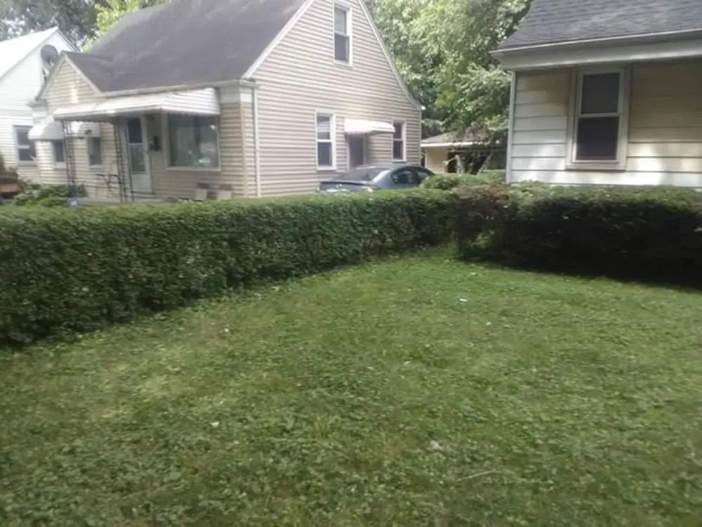 Expert lawn care service with custom design across Detroit, MI - Inner City Services