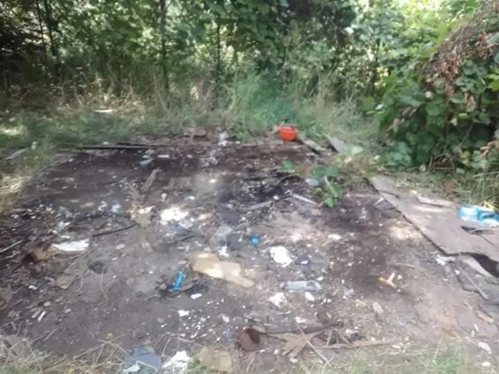 Custom landscaping services for beautiful yards in Detroit, MI by Inner City Services