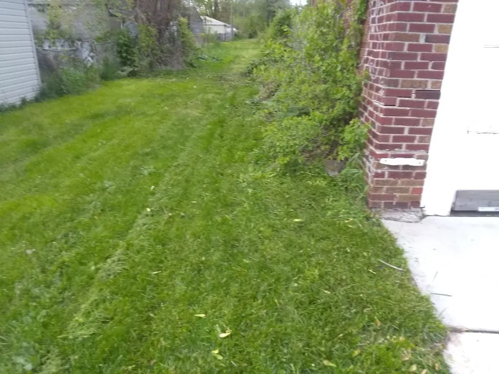 Professional yard cleanup service experts serving Detroit, MI - Inner City Services