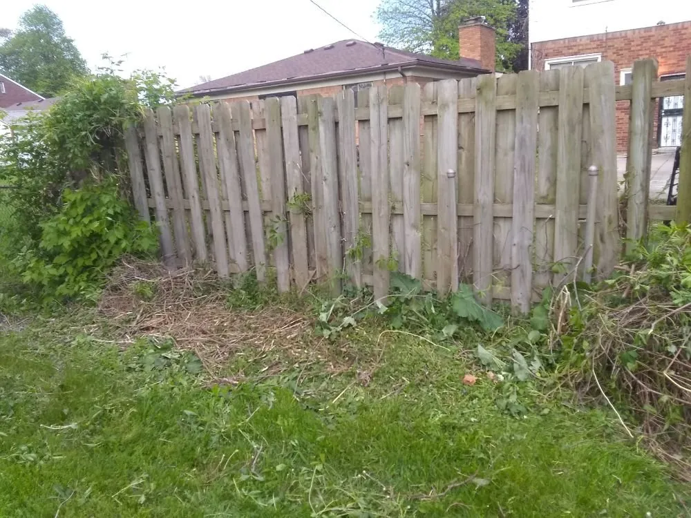 Affordable yard cleanup service with custom design in Detroit, MI by Inner City Services