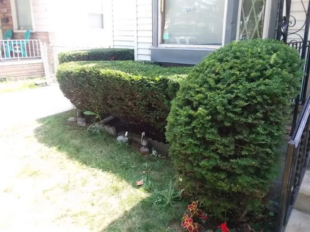 Trusted yard maintenance for homes in Detroit, MI by Inner City Services