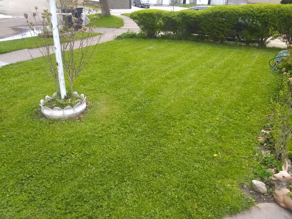 Professional residential landscaping experts serving Detroit, MI - Inner City Services