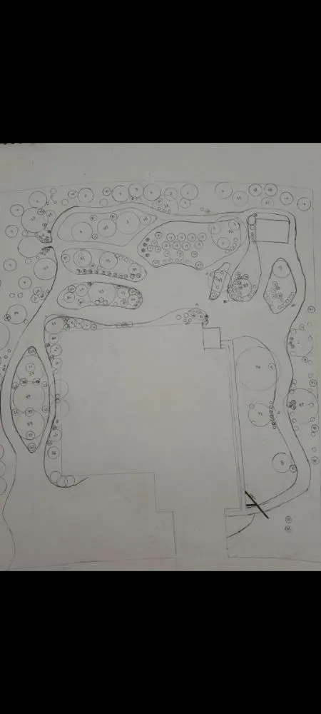 Local yard cleanup service in Dade City, FL - Inner Roots