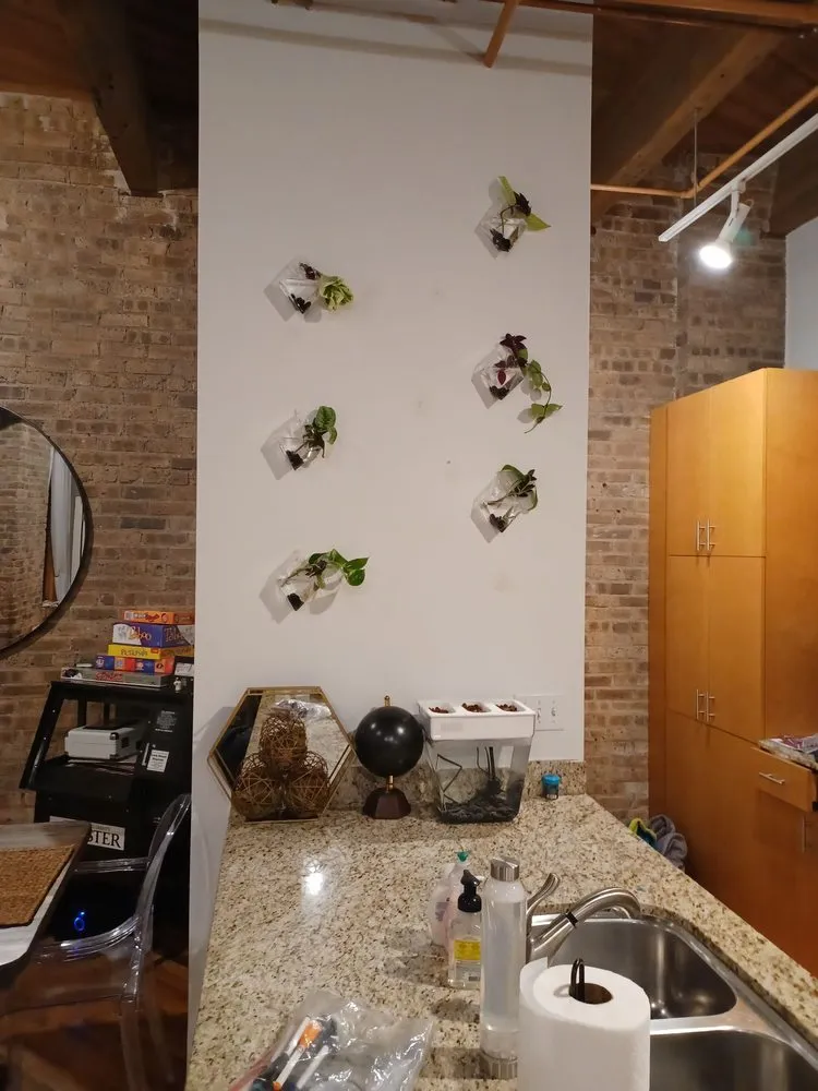 Professional landscape design near you in Phoenix, IL by Innerpeace Landcare