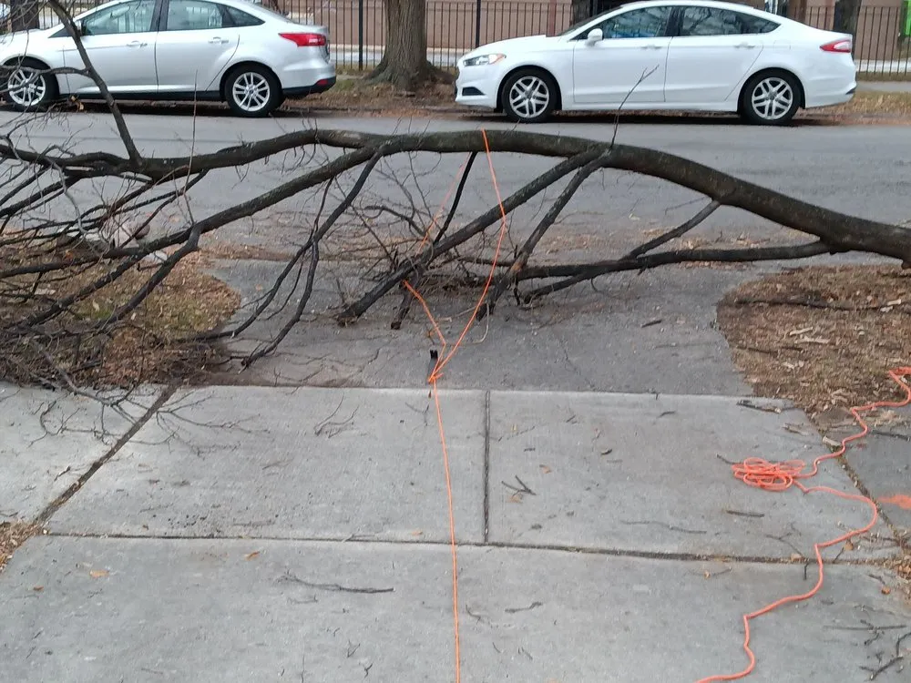 Trusted landscaping services for homes across Phoenix, IL - Innerpeace Landcare