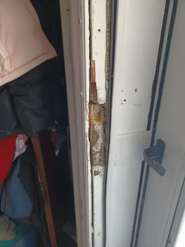 Local landscaping services for homes in Phoenix, IL by Innerpeace Landcare