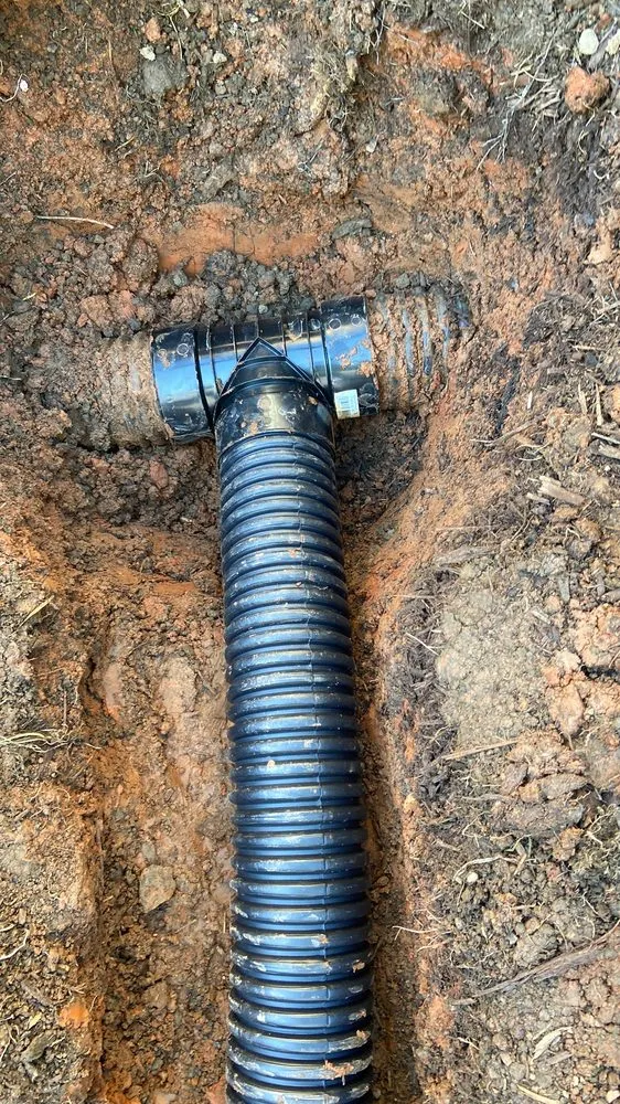 Local yard maintenance experts serving Charlotte, NC - Innova Landscaping