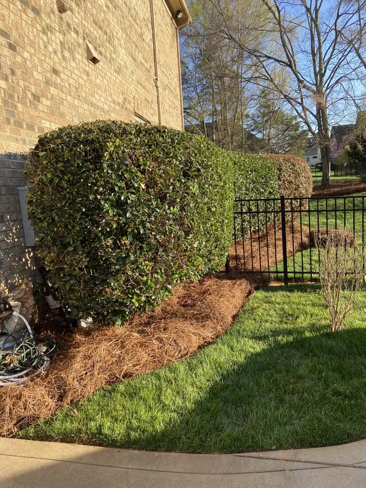 Top-rated lawn mowing service in Charlotte, NC - Innova Landscaping