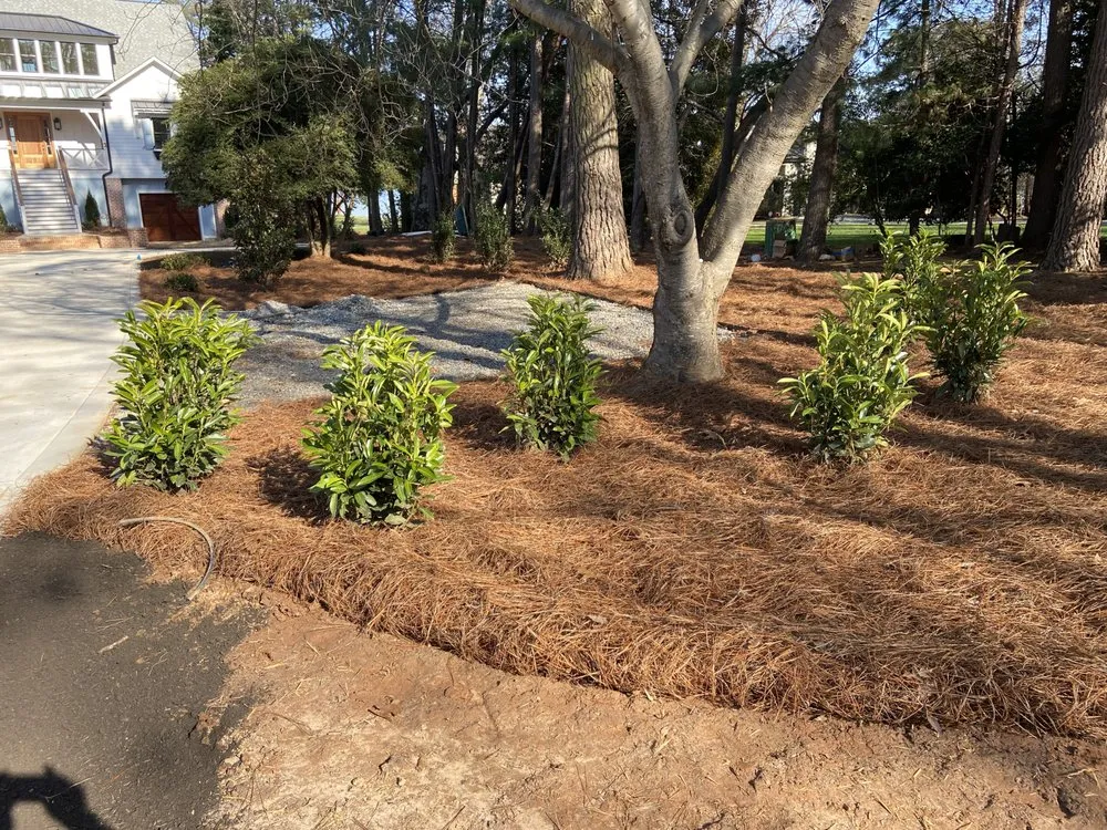 Top-rated landscaping services in Charlotte, NC - Innova Landscaping