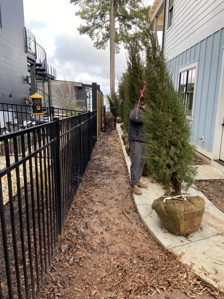 Expert residential landscaping experts serving Charlotte, NC - Innova Landscaping