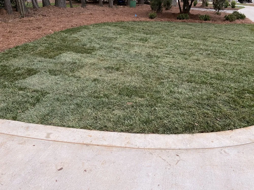 Custom landscaping services in Charlotte, NC - Innova Landscaping