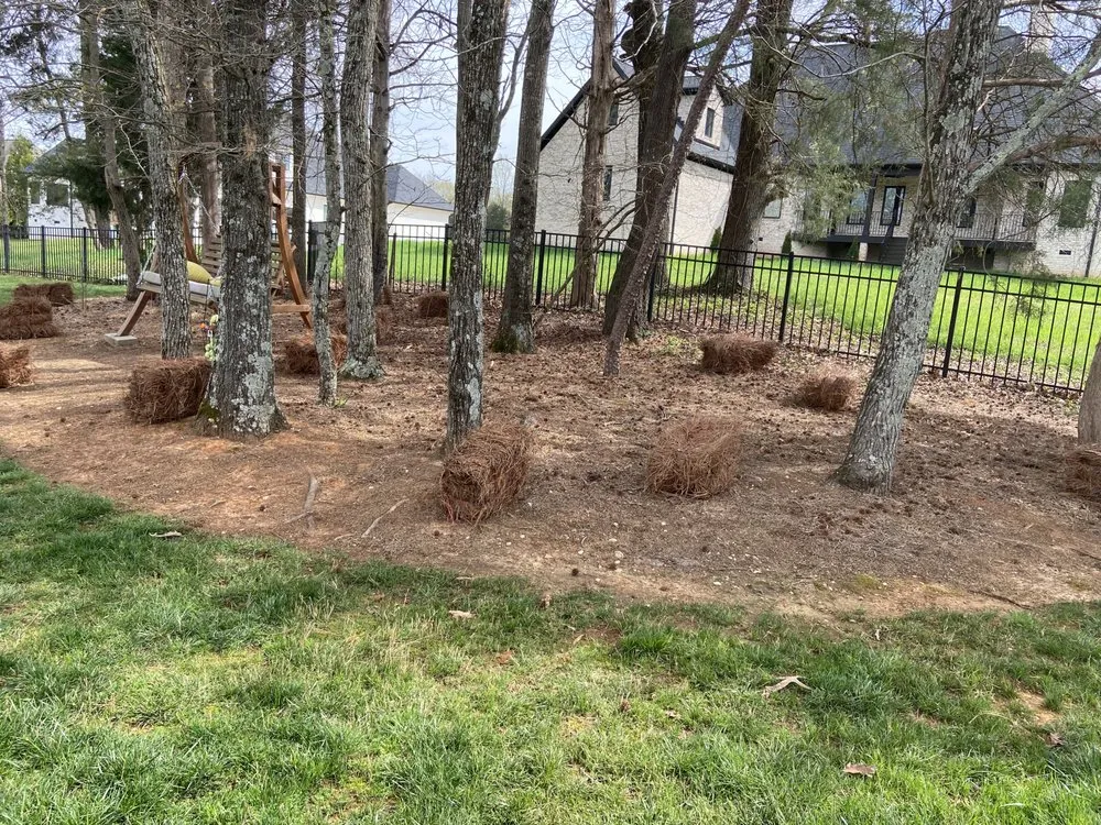 Expert landscape installation for beautiful yards in Charlotte, NC by Innova Landscaping