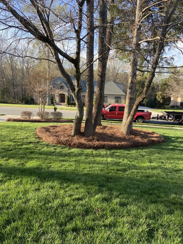 Local landscaping services in Charlotte, NC - Innova Landscaping