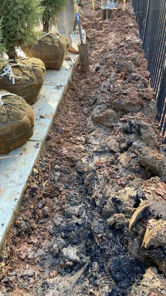 Reliable landscape installation near you across Charlotte, NC - Innova Landscaping