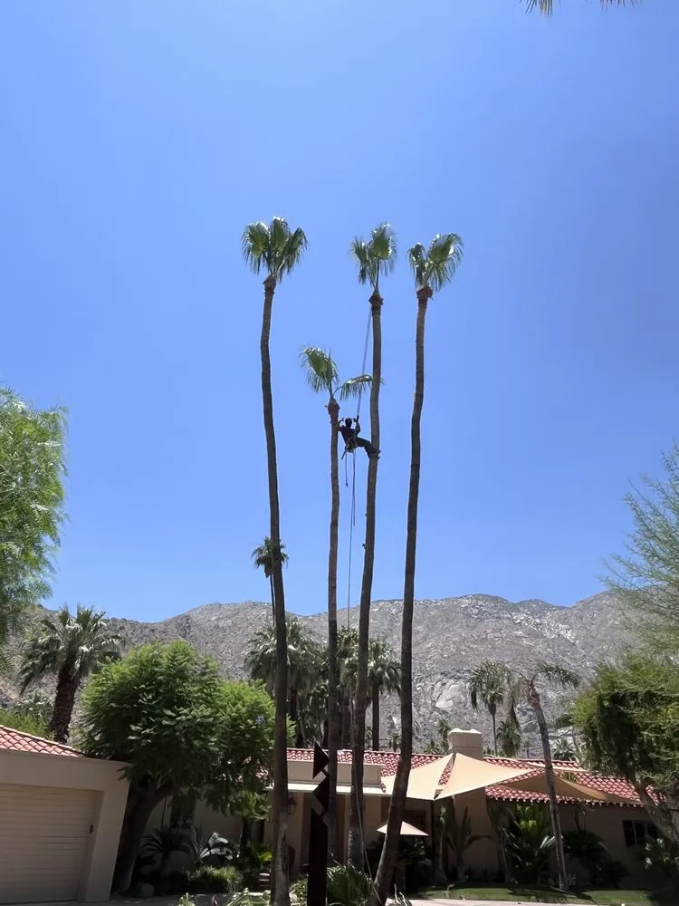 Affordable lawn mowing service in Rancho Mirage, CA by Innovate Lawn & Landscaping