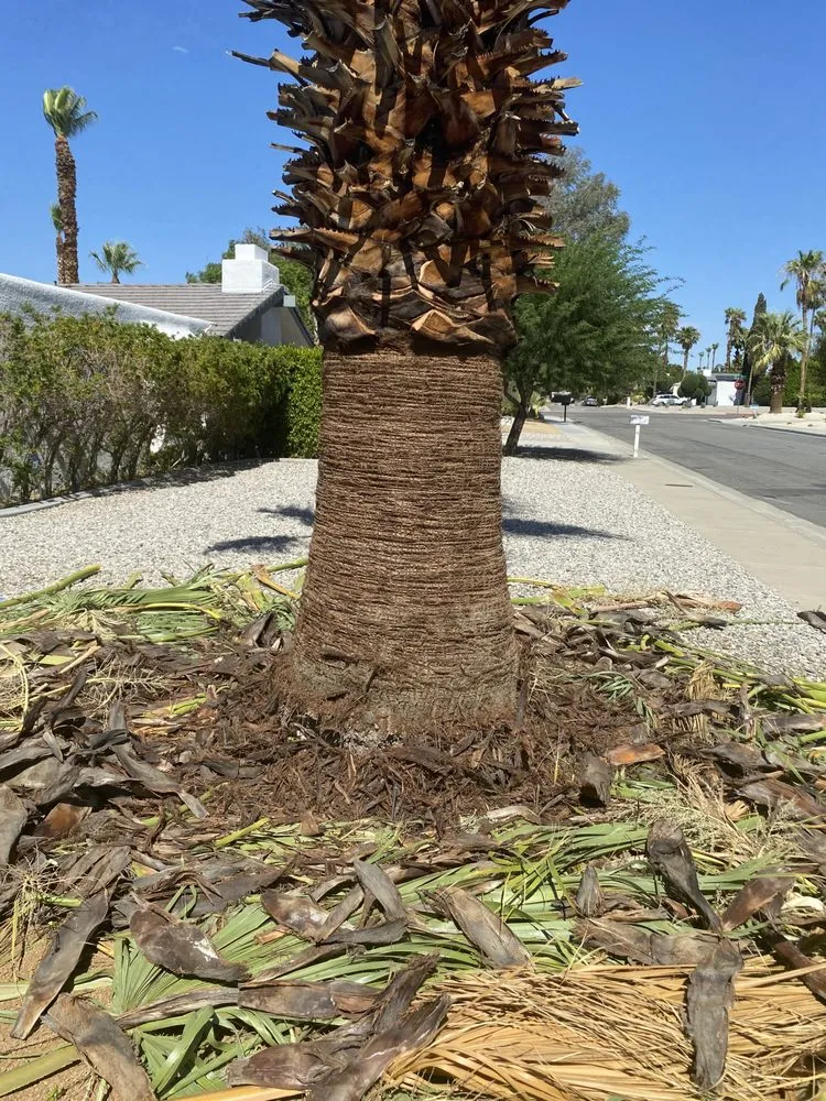Top-rated landscape installation in Rancho Mirage, CA by Innovate Lawn & Landscaping