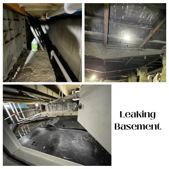 Top-rated outdoor landscaping in Raleigh, NC by Innovated Solution’s