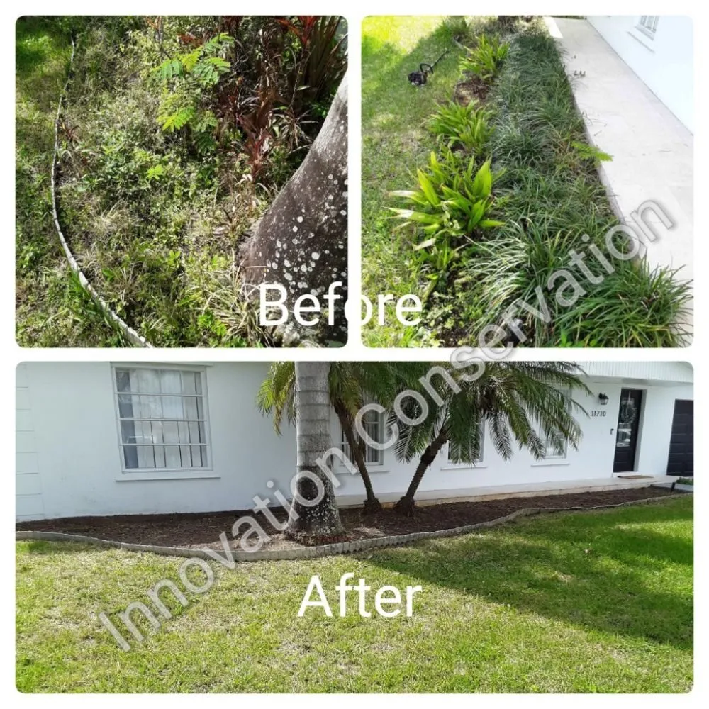 Expert outdoor landscaping near you in Miami, FL by Innovation Conservation
