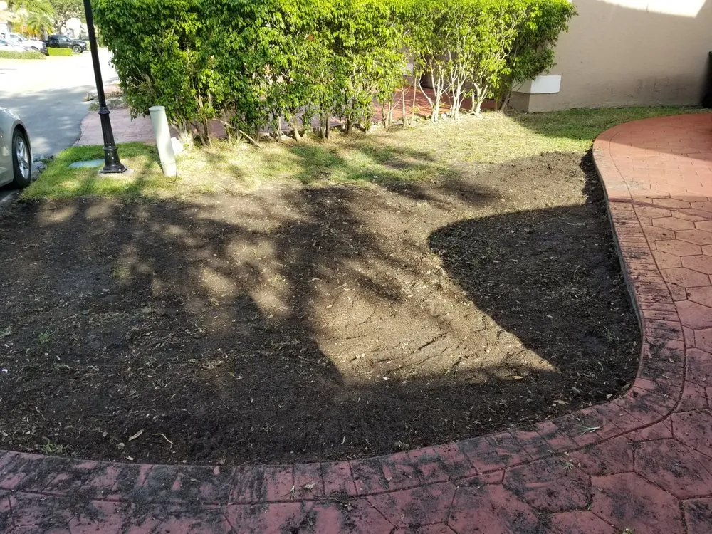 Local residential landscaping experts serving Miami, FL - Innovation Conservation