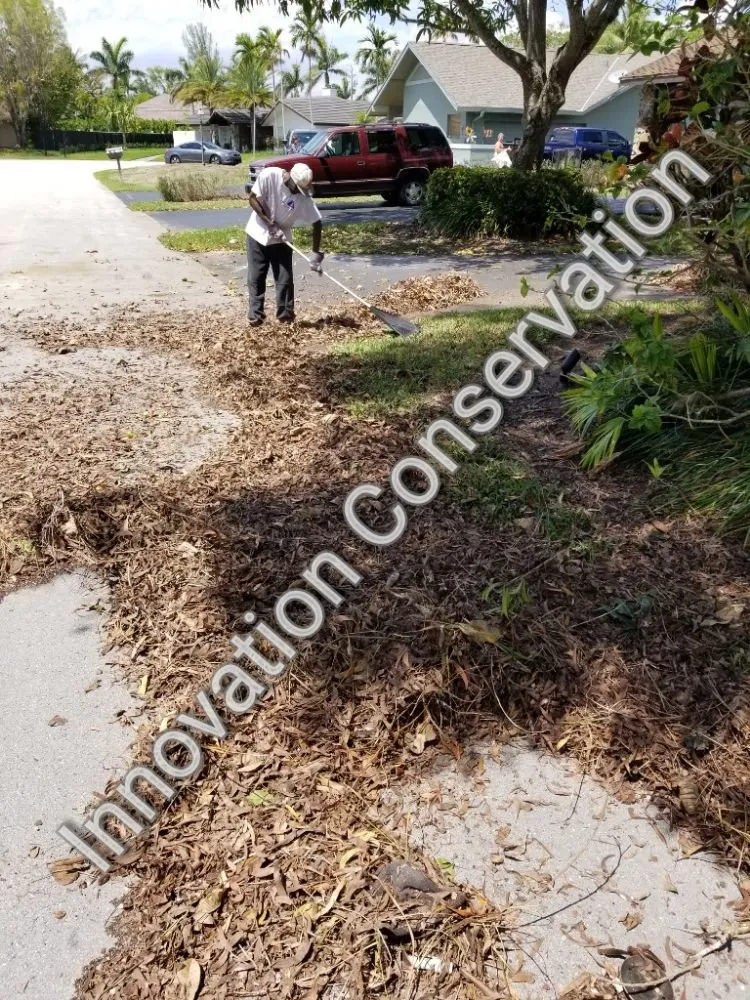 Custom yard cleanup service for year-round maintenance across Miami, FL - Innovation Conservation