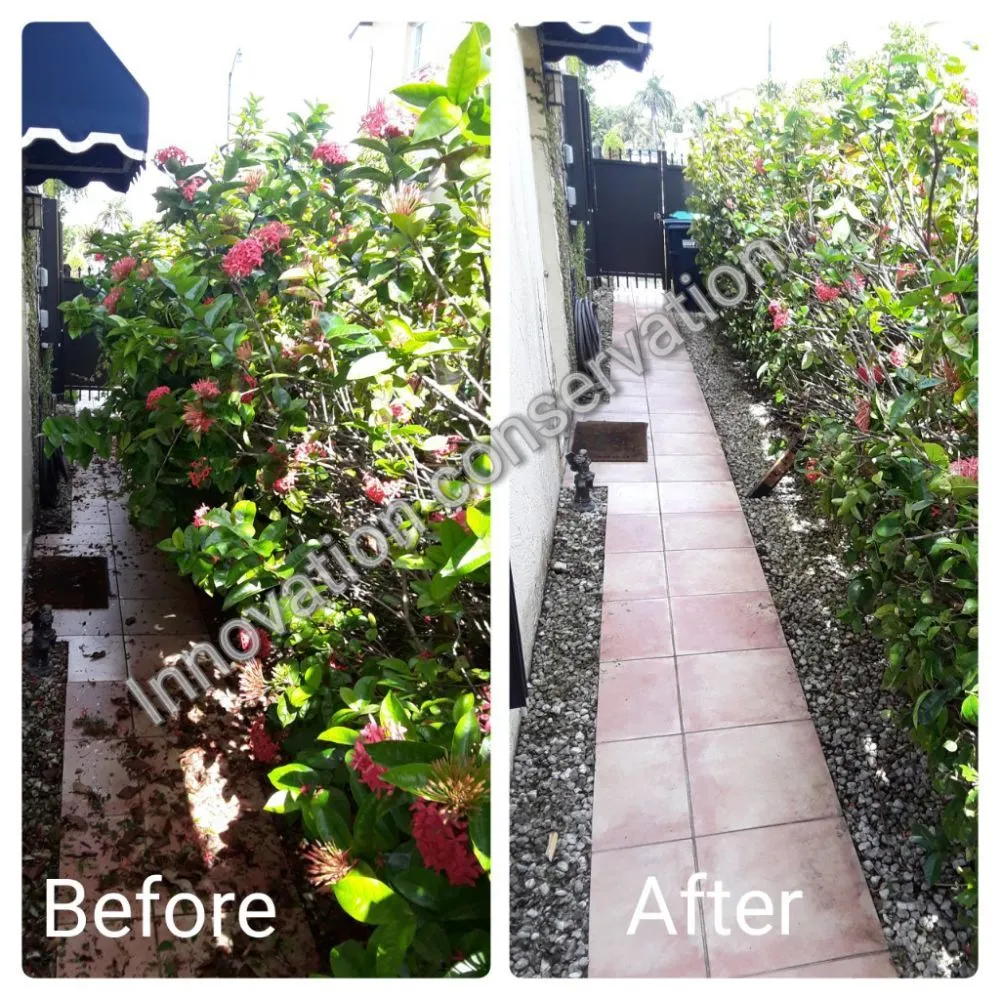 Trusted lawn care service in Miami, FL - Innovation Conservation