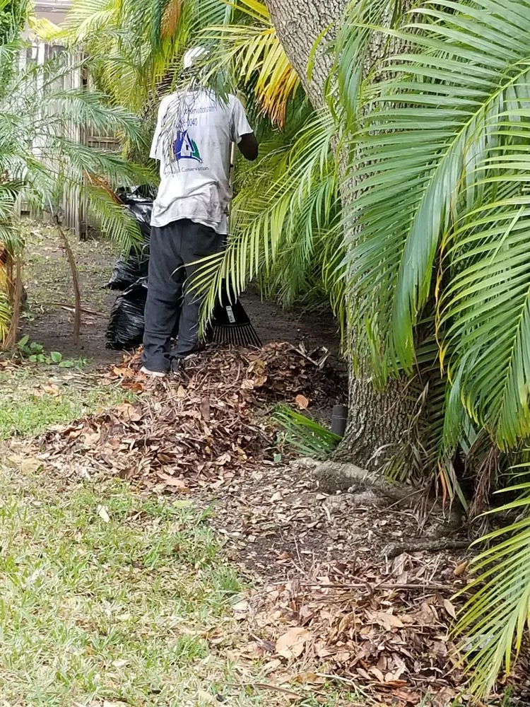Affordable landscape installation for year-round maintenance in Miami, FL by Innovation Conservation