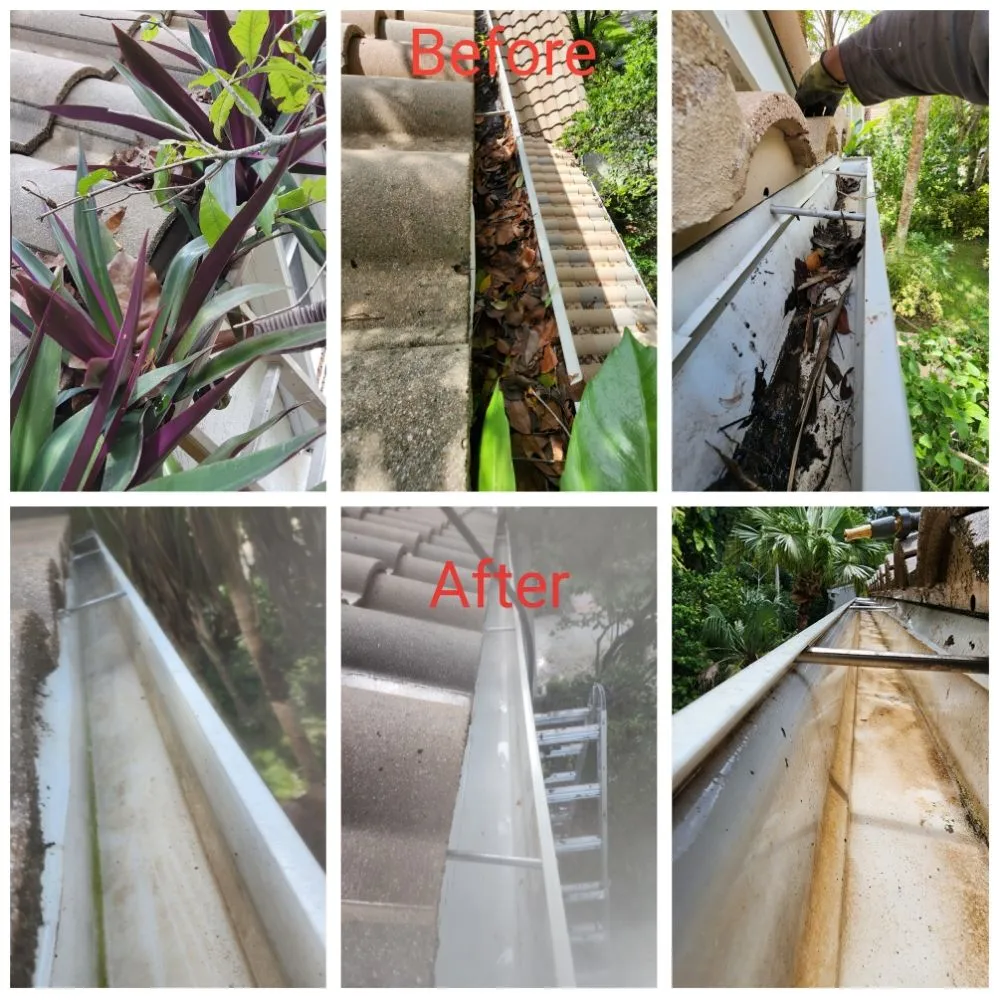 Top-rated landscape design in Miami, FL by Innovation Conservation