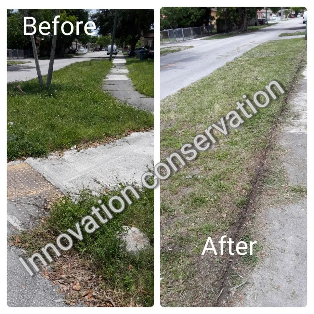 Custom yard cleanup service for outdoor upgrades across Miami, FL - Innovation Conservation